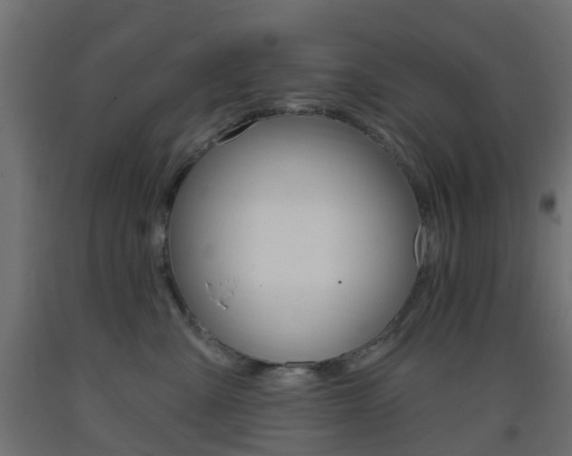 X0000093400427200710120859
