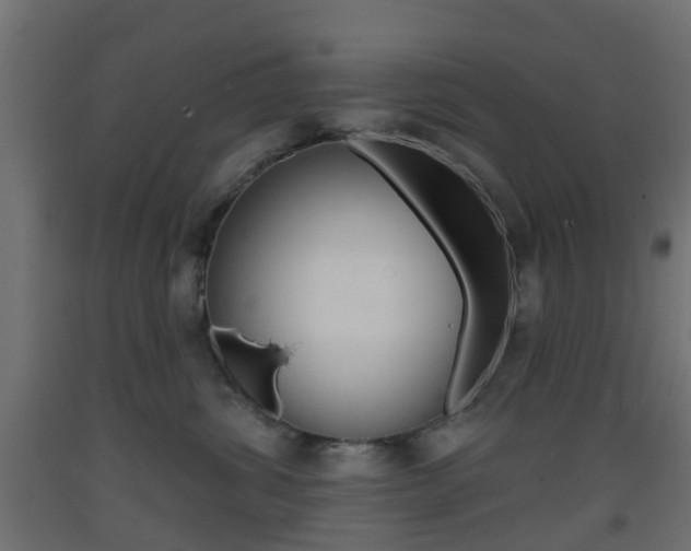 X0000093400428200710120859