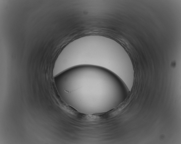 X0000093400429200710120859