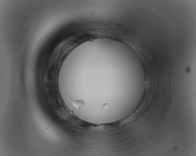 X0000093400430200710120859