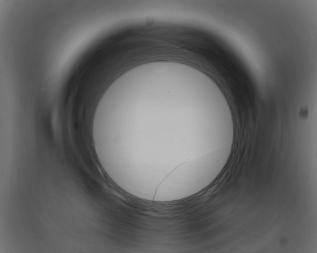 X0000093400431200710120859