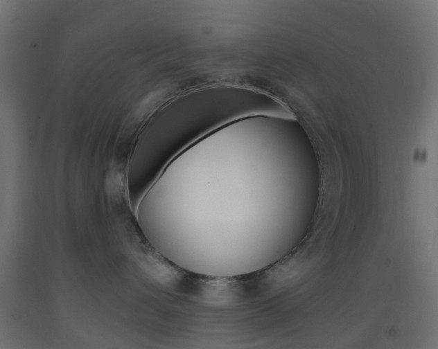 X0000093400432200710120859