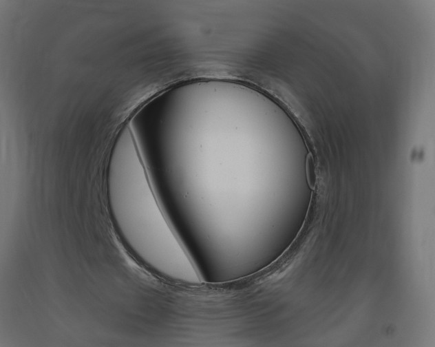 X0000093400433200710120859