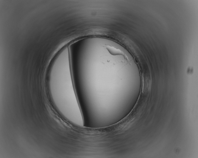 X0000093400435200710120859