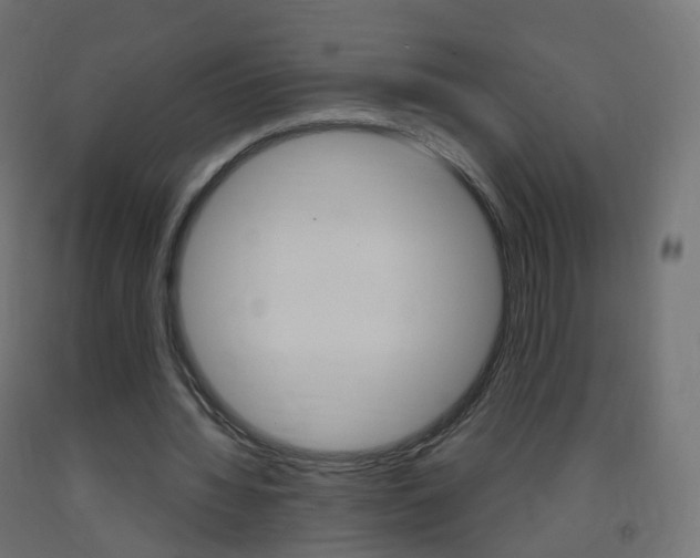 X0000093400436200710120859