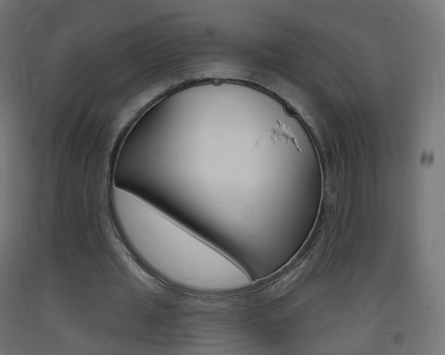 X0000093400437200710120859