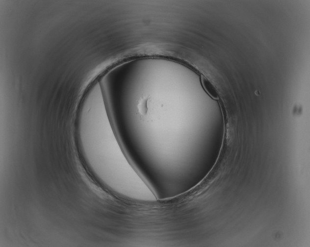 X0000093400438200710120859