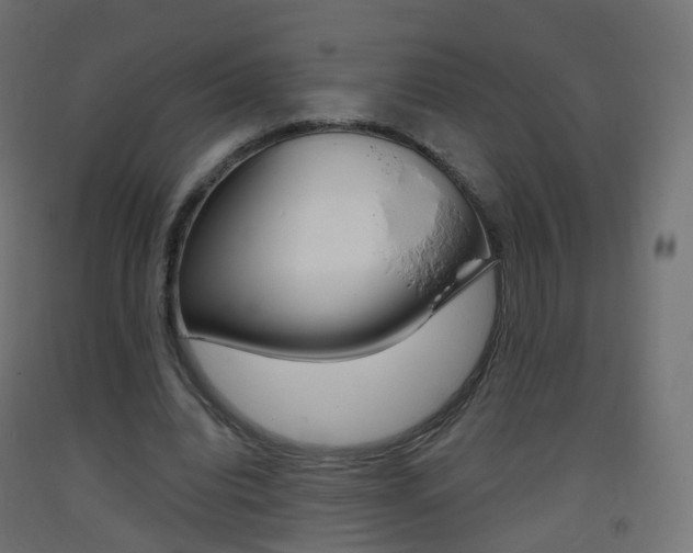 X0000093400440200710120859