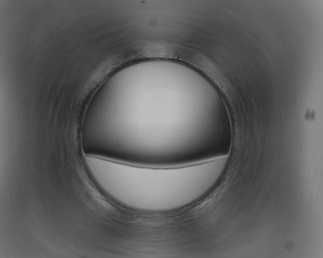 X0000093400441200710120859