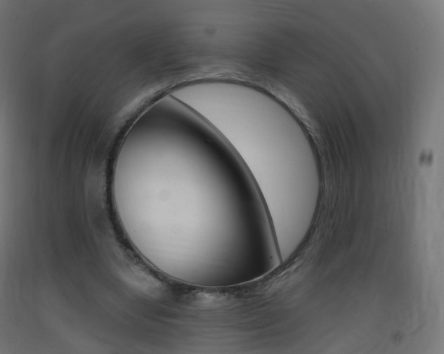 X0000093400442200710120859