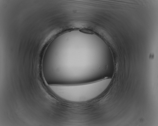 X0000093400444200710120859