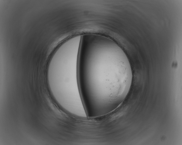 X0000093400446200710120859