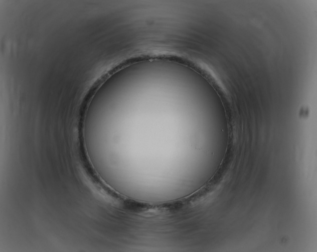 X0000093400447200710120859