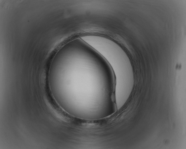 X0000093400448200710120859