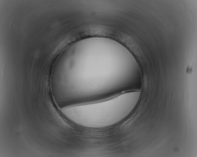 X0000093400449200710120859