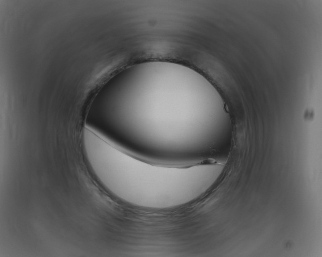 X0000093400450200710120859