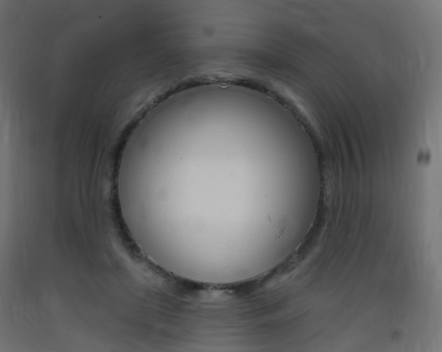 X0000093400451200710120859