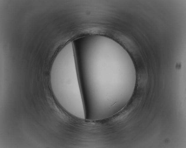 X0000093400453200710120859