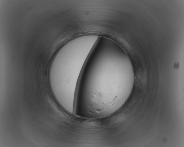 X0000093400454200710120859