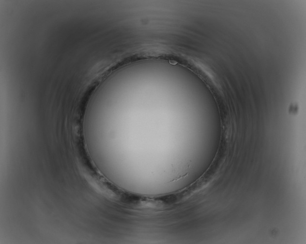 X0000093400455200710120859
