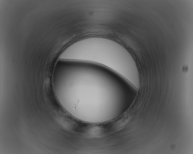X0000093400456200710120859