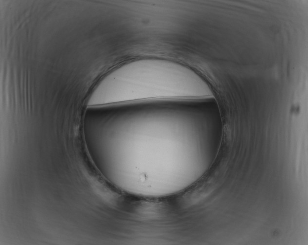 X0000093400458200710120859