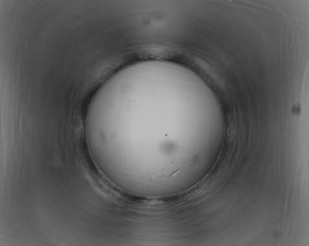 X0000093400459200710120859