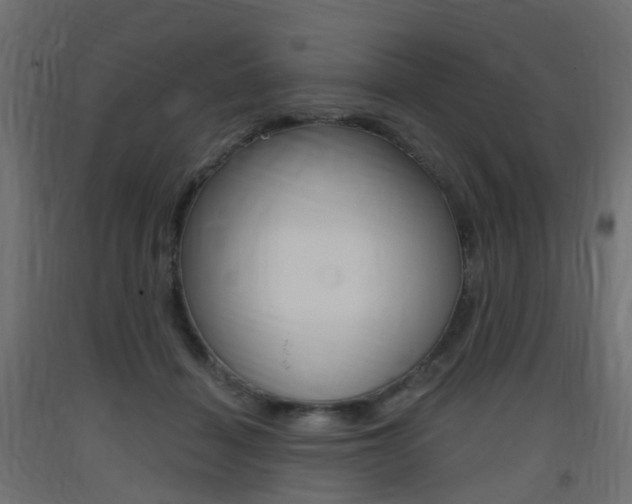 X0000093400460200710120859