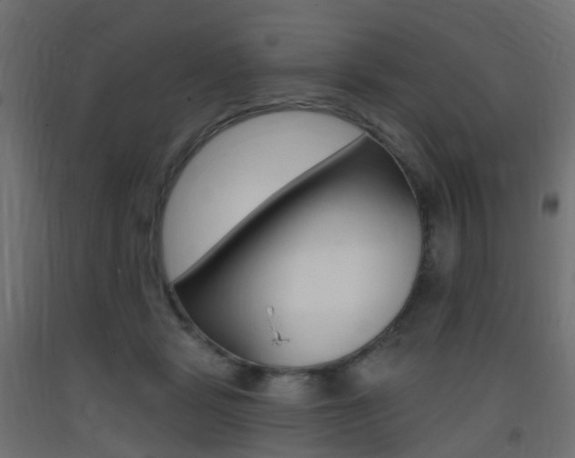 X0000093400461200710120859