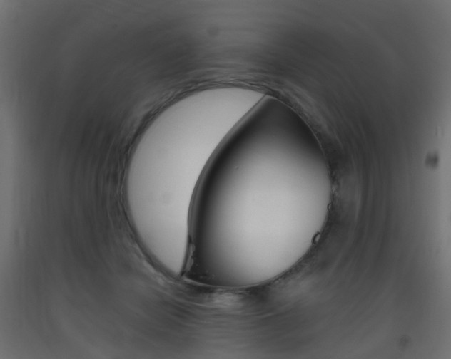 X0000093400462200710120859