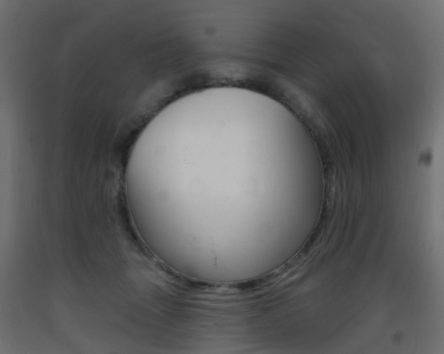 X0000093400463200710120859