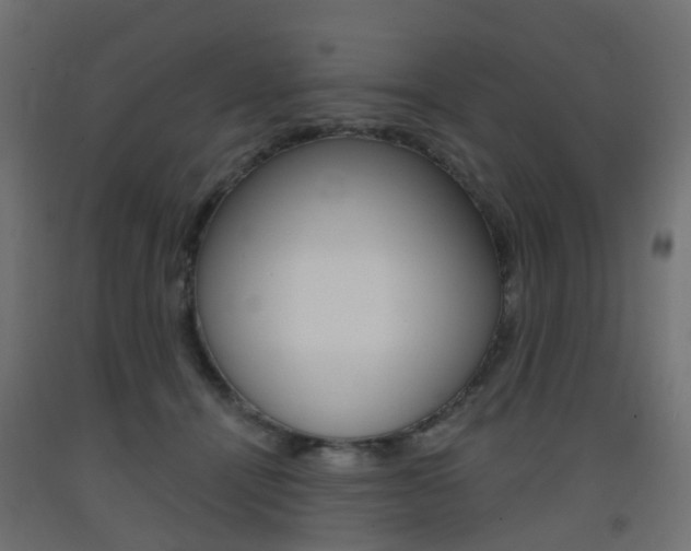 X0000093400464200710120859