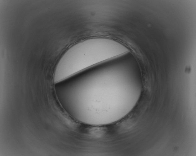 X0000093400465200710120859