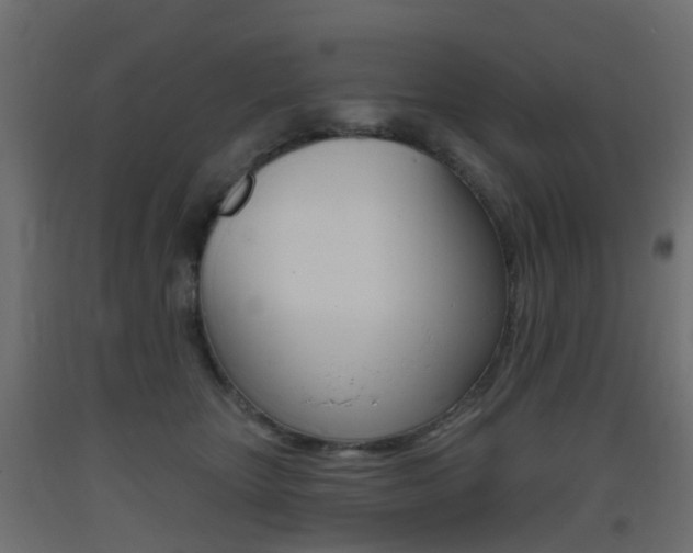 X0000093400467200710120859