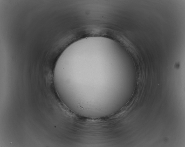 X0000093400469200710120859