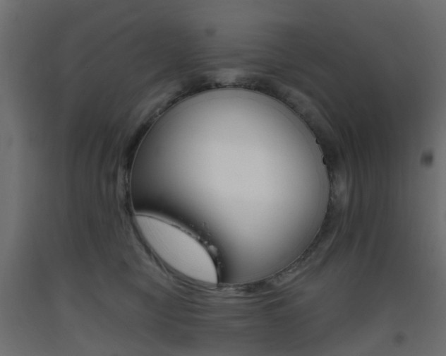 X0000093400470200710120859