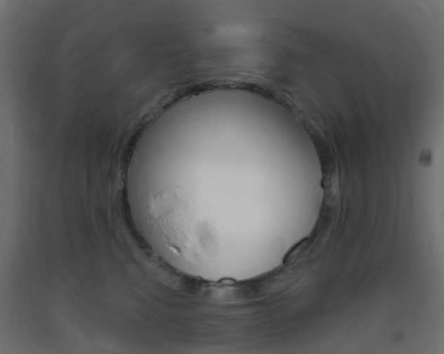 X0000093400472200710120859