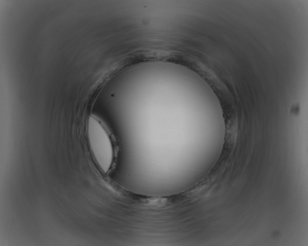 X0000093400474200710120859