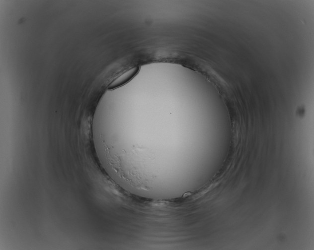 X0000093400475200710120859
