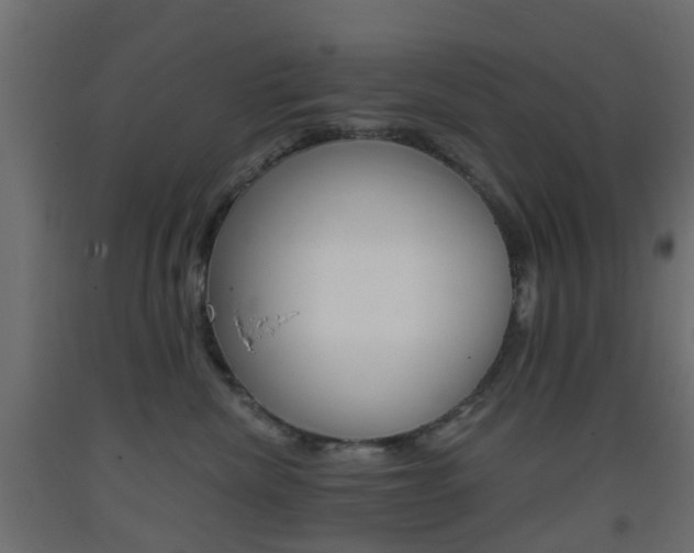X0000093400476200710120859