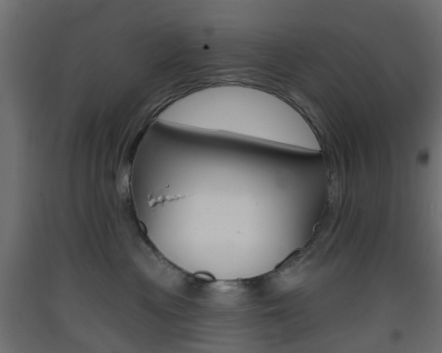 X0000093400477200710120859