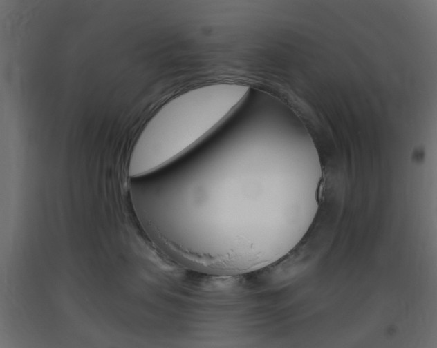 X0000093400479200710120859