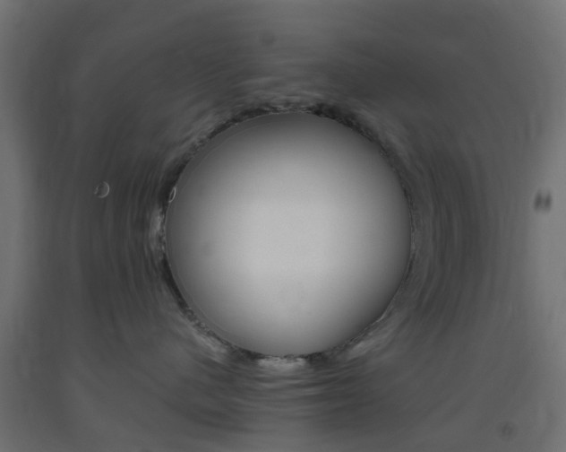 X0000093400480200710120859