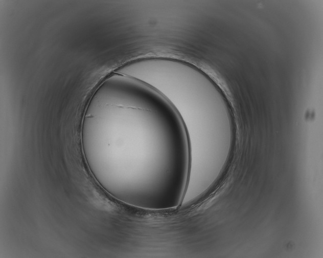 X0000093400481200710120859