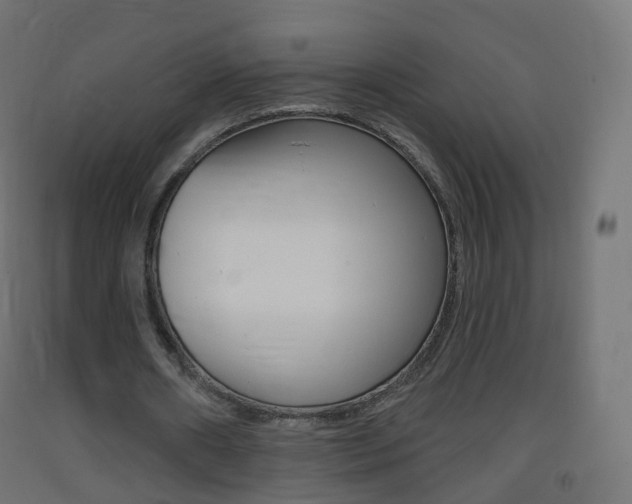 X0000093400482200710120859