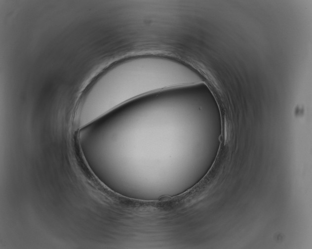 X0000093400483200710120859