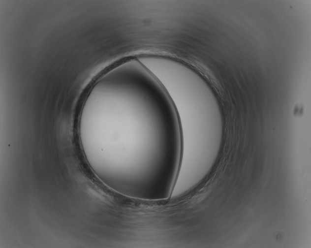 X0000093400484200710120859