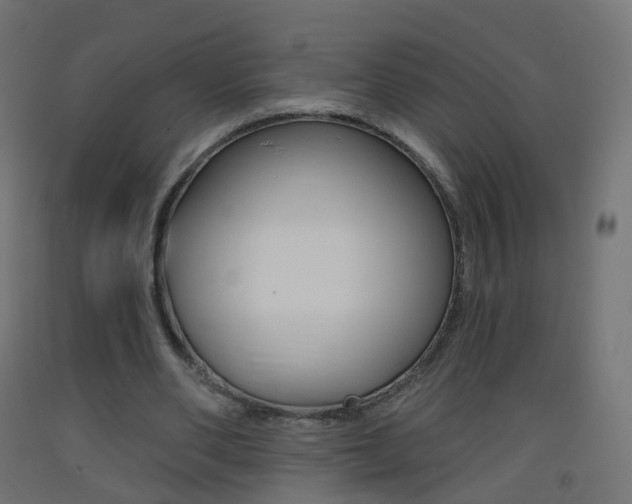 X0000093400486200710120859