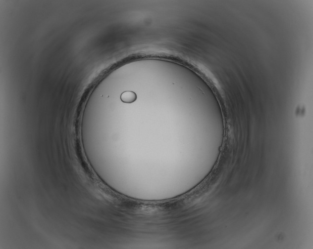 X0000093400487200710120859