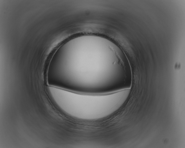 X0000093400488200710120859